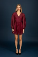 Gary chiffon dress (Wine) - Image 6