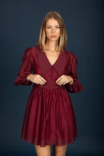 Gary chiffon dress (Wine) - Image 3