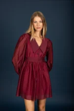 Gary chiffon dress (Wine) - Image 2